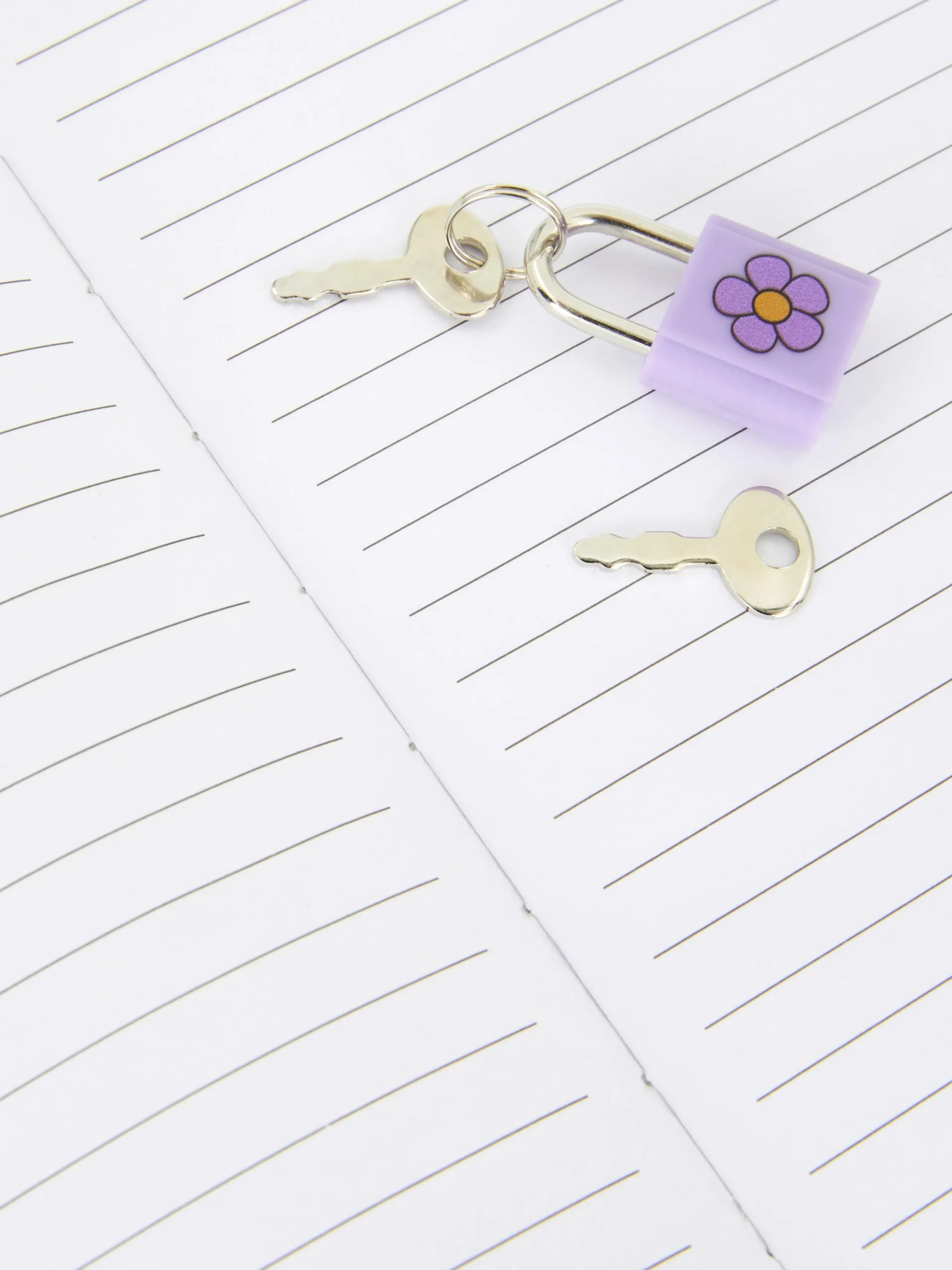 Carnet à Paillettes Et Motif Animaux