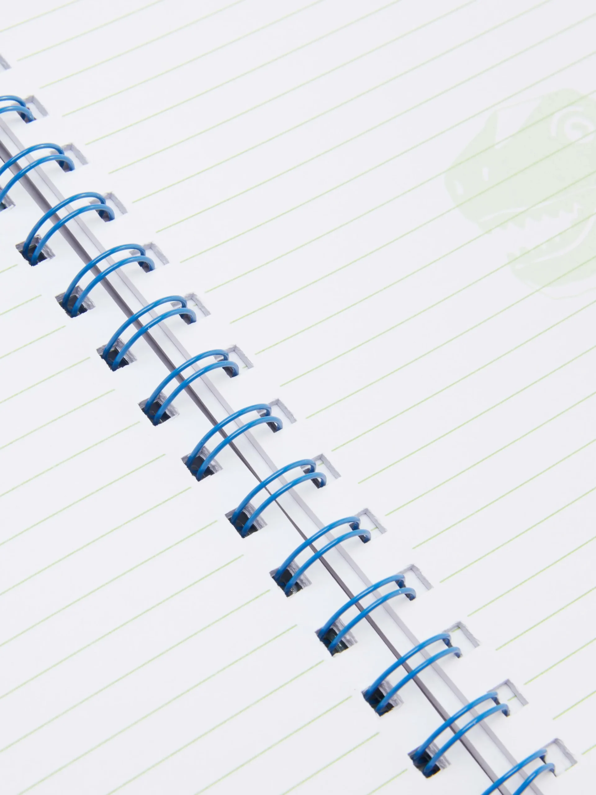 Carnet A5 Fantaisie à Motif Dinosaure