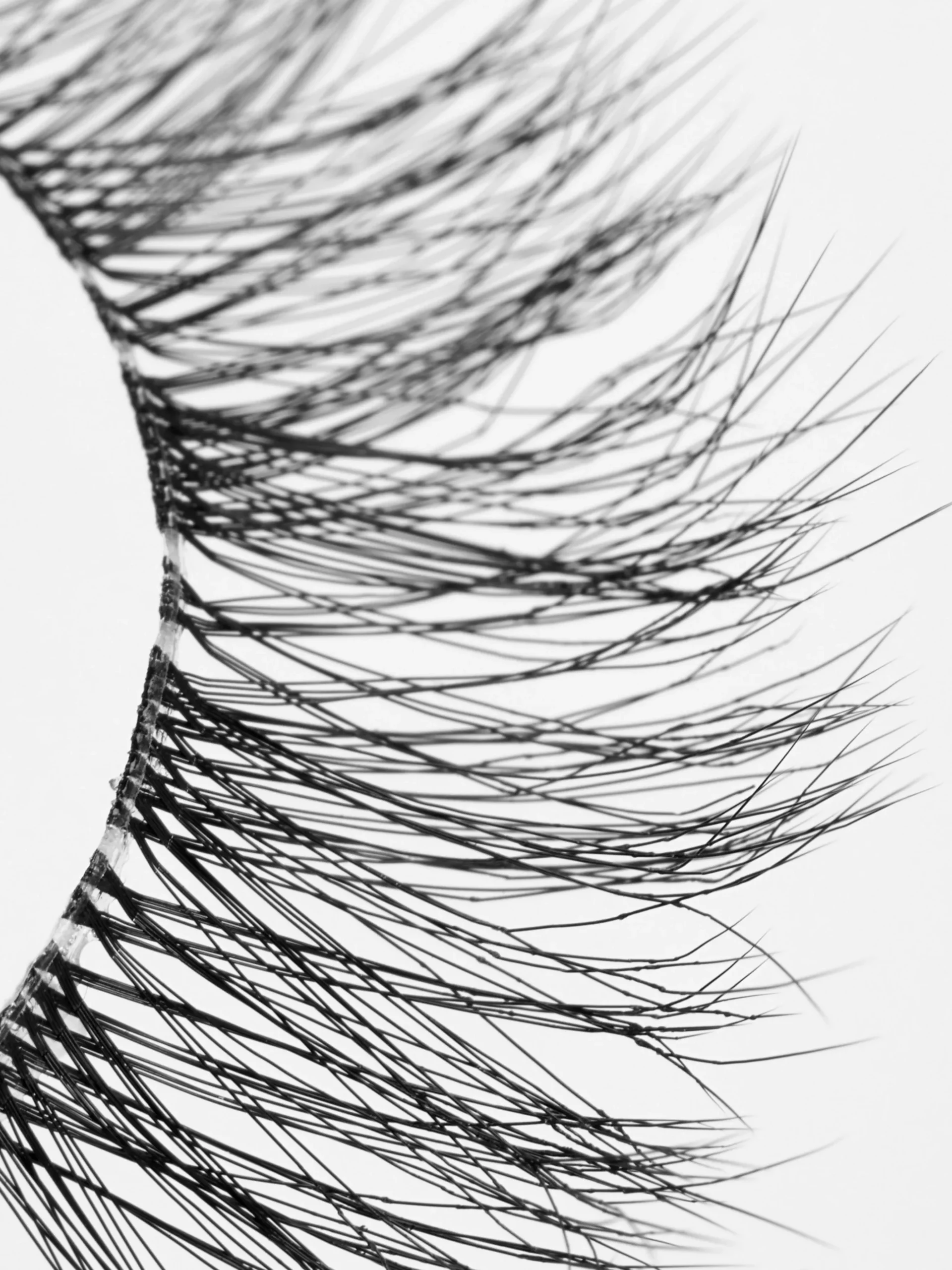 Faux Cils The Party Edit PS...