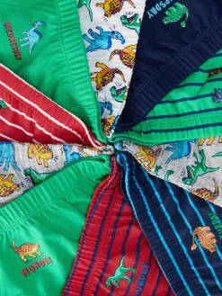 Lot De 10 Culottes Graphiques à Motifs Dinosaures