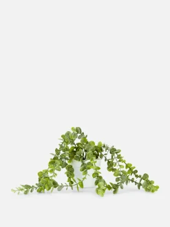 Plante Rampante Artificielle En Pot