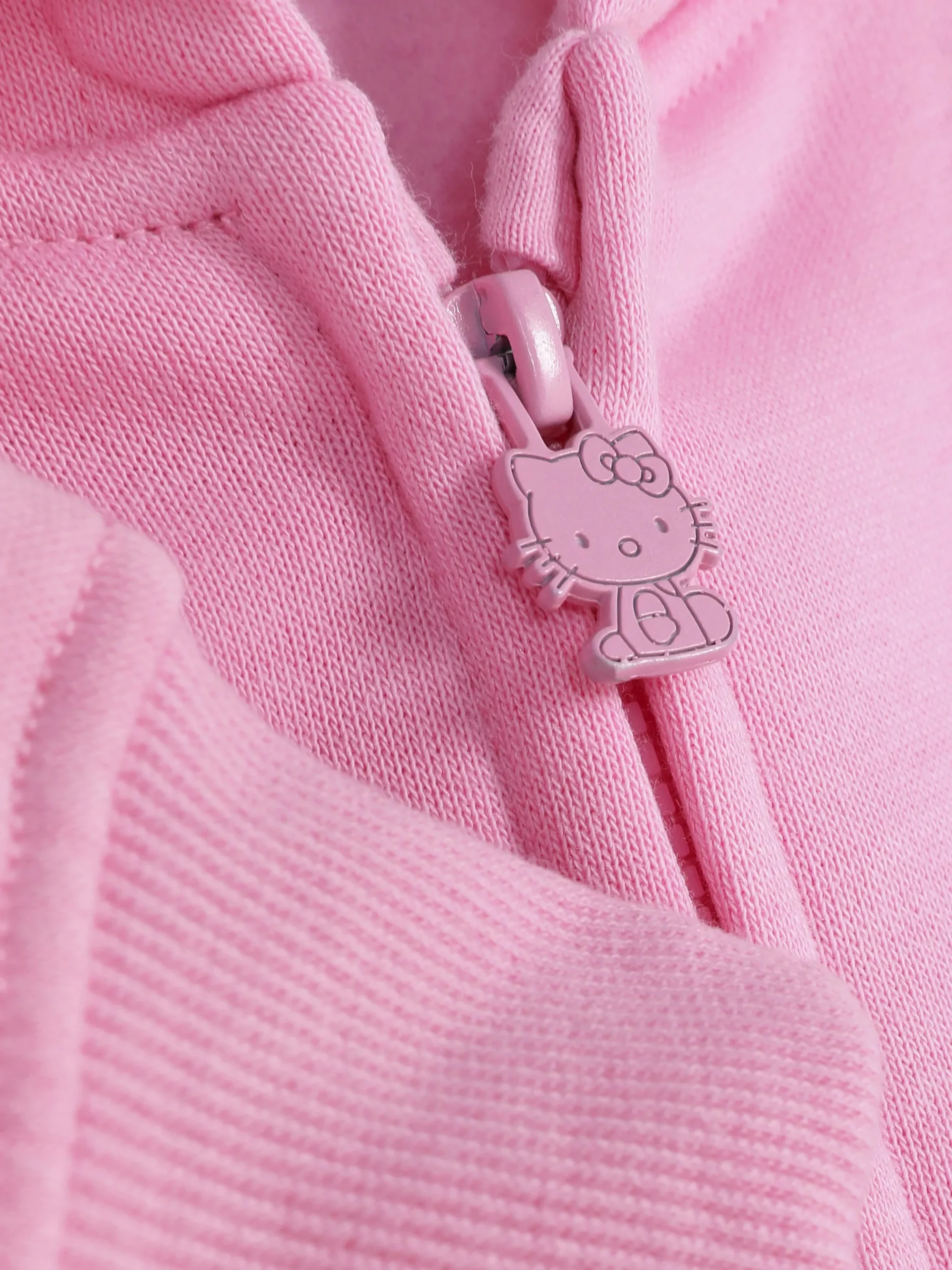 Sweat à Capuche Zippé Hello Kitty And Friends